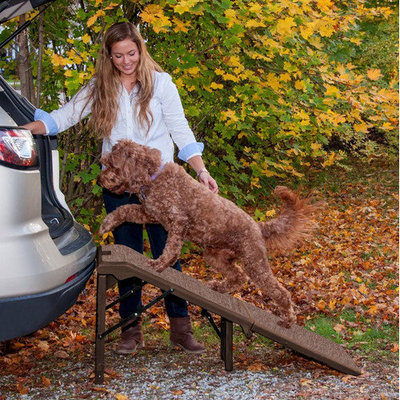 Pet Gear Free Standing Extra Wide Carpeted 55
