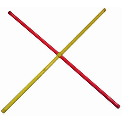 Amber Sporting Goods Agility Quadrant