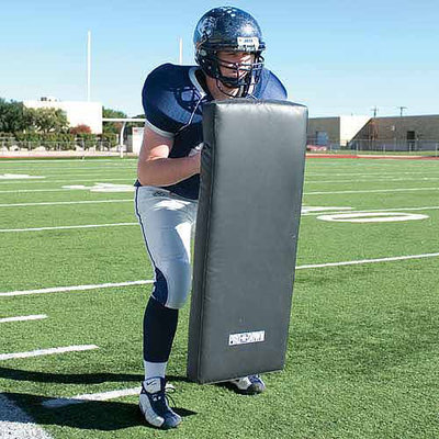 Pro Down Pro-Down Pro Shield 16