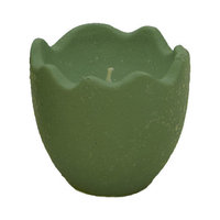 Fantastic Craft Egg Shell Novelty Candle Size: 3.75