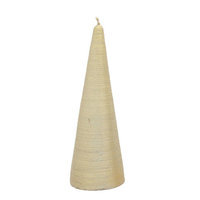 Fantastic Craft Cone Tree Novelty Candle Size: 6