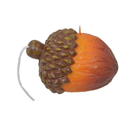 Fantastic Craft Acorn Novelty Candle Size: 5
