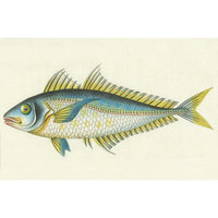 Belle Banquet Bluefish Stain-resistant Reusable Paper Placemats (Set of 6)