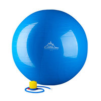 Black Mountain Products 2000 lbs Anti Burst Exercise Stability Ball with Pump Color: Purple