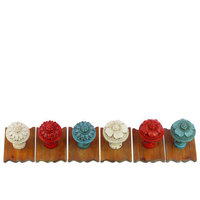 Urban Trends Resin/Wood Wall Hooks Assortment of Six Assorted Color (White x2, Red x2 and Sky Blue x2)