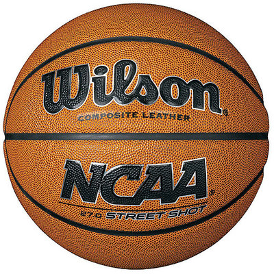 Wilson Sports wtb0947id NCAA Street Shot Youth Size Basketball