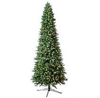 Member's Mark 12ft pre-lit Fraser Fir Slim Christmas Tree