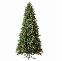 Member's Mark 7.5ft pre-lit Norway Spruce Christmas Tree
