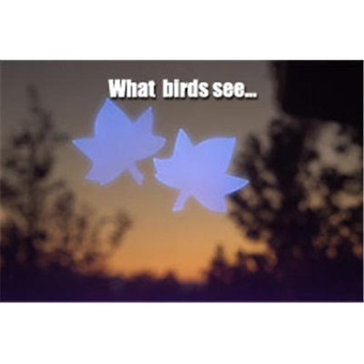 Window Alert WINDA1 Maple Leaf Decal and Deterrent for Birds