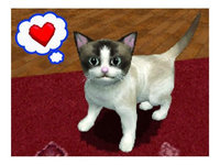 Nintendo Petz: Catz 2 (used)