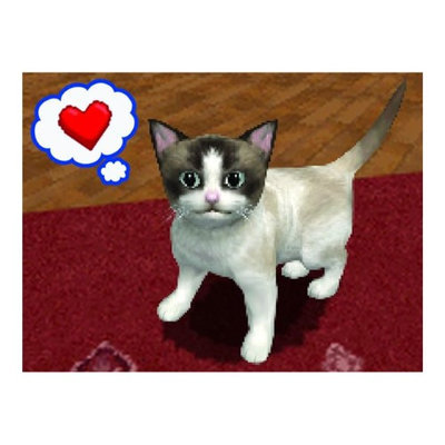 Nintendo Petz: Catz 2 (used)