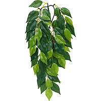 RC Hagen PT3030 Exo Terra Silk Terrarium Plant Small Ficus