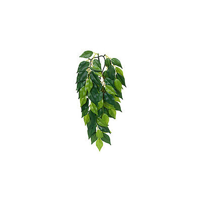 RC Hagen PT3030 Exo Terra Silk Terrarium Plant Small Ficus