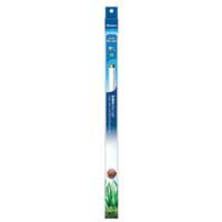 Aqueon T8 Actinic Blue Light Fluorescent Aquarium Lamp, 36
