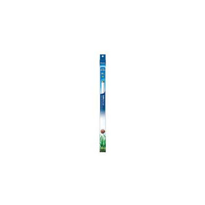 Aqueon T8 Actinic Blue Light Fluorescent Aquarium Lamp, 36