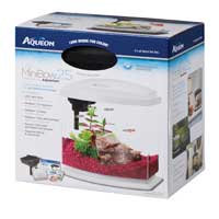 Aqueon MiniBow White LED Desktop Fish Aquarium Kit, 2.5 galllon ()