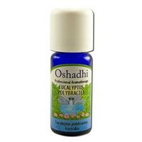 Oshadhi - Essential Oil, Eucalyptus Polybractea Wild, 10 ml