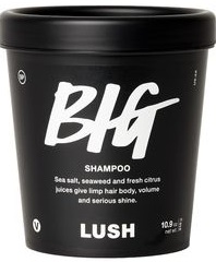 LUSH Big Sea Salt Shampoo