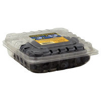Nature's Partner Blueberries, 6 oz (170 g)