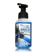 Bath & Body Works® CRISP MORNING AIR Gentle Foaming Hand Soap