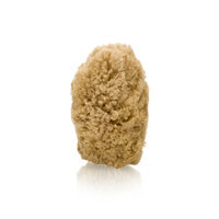 New England Naturals Earthline Deep Facial Cosmetic Sponge No. 1091