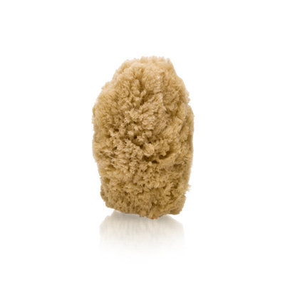 New England Naturals Earthline Deep Facial Cosmetic Sponge No. 1091