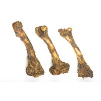 Best Friend Products Corp Jones Natural Chews Lamb Femur Dog Bone