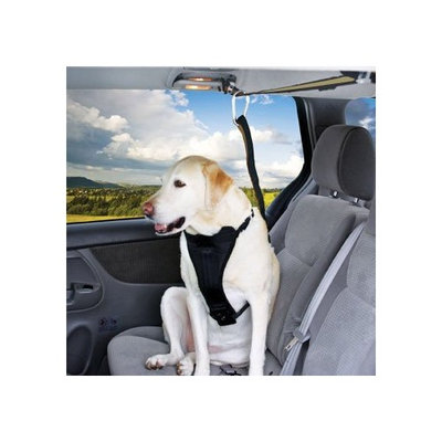 Petco Premium Zipline Dog Seat Belt