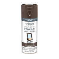 Valspar Project Perfect Labrador Brown Indoor/Outdoor Spray Paint 407.0084206.076