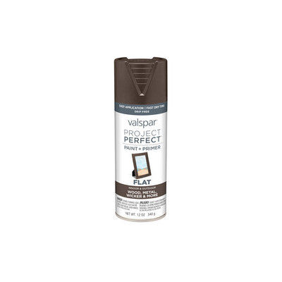 Valspar Project Perfect Labrador Brown Indoor/Outdoor Spray Paint 407.0084206.076
