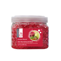 Style Selections 1 12-oz Apple Cinnamon Solid Air Freshener 72812