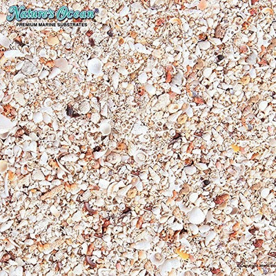 Nature s Ocean Nature's Ocean No.10 Hawaiian Puka Shell for Aquarium, 15-Pound