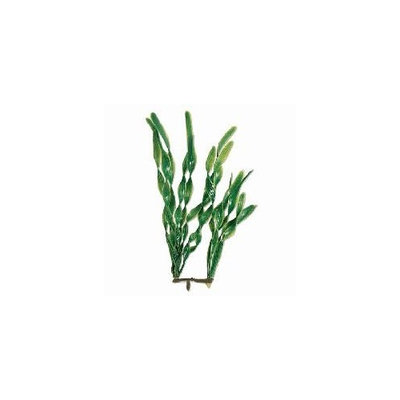 Tetra Water Wonders Jungle Vallisneria Plant 12in