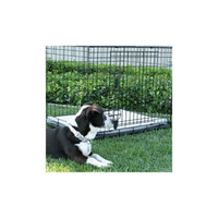 Animated Pet Crate Pad for Midwest Life Stages® Ultima 3-Door Crate Depth: 36