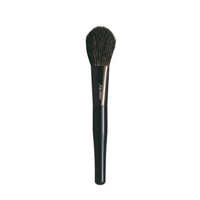 Shiseido Blush Brush
