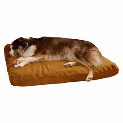PAW Orthopedic Super Foam Pet Bed, Large, Camel, 1 ea