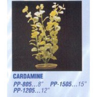 Hagen Marina Aquascaper Cardamine Large Plant, 12-Inch