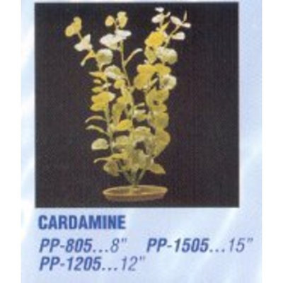 Hagen Marina Aquascaper Cardamine Large Plant, 12-Inch