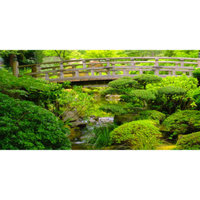 Top Fin Bridge Aquarium Cling