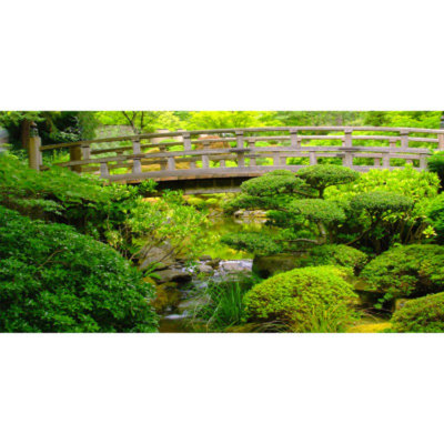 Top Fin Bridge Aquarium Cling
