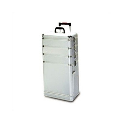 TZ Case AB-306T-LP Professional Make-up Case