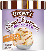 Edy's Slow Churned Yogurt Blends Caramel Praline Crunch