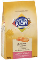 Nature's Recipe® Active Adult Salmon & Brown Rice Recipe Cat Food