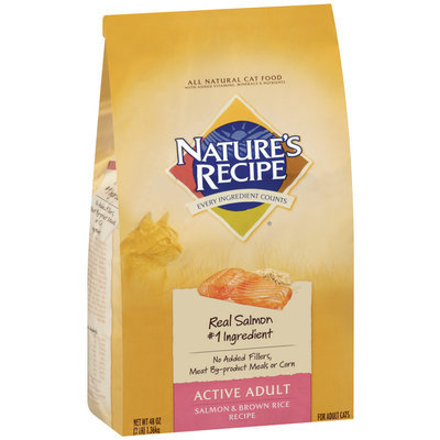 Nature's Recipe® Active Adult Salmon & Brown Rice Recipe Cat Food
