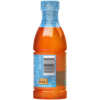 Gold Peak® Sweet Tea 16.9 fl. oz. Plastic Bottle