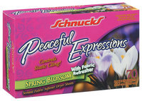 Schnucks Fabric Softener Dryer Sheets Spring Blossom W/Fabric Refresher 6.4