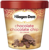 Haagen-Dazs Chocolate Chocolate Chip Ice Cream