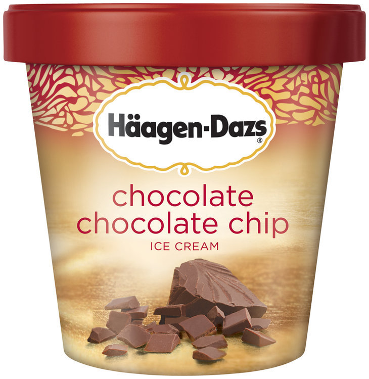 Haagen-Dazs Chocolate Chocolate Chip Ice Cream Reviews 2019