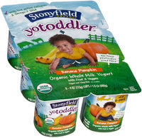 Stonyfield Organic™ YoToddler® Banana Pumpkin Yogurt 6-4 oz. Cups