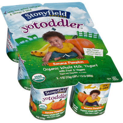 Stonyfield Organic™ YoToddler® Banana Pumpkin Yogurt 6-4 oz. Cups